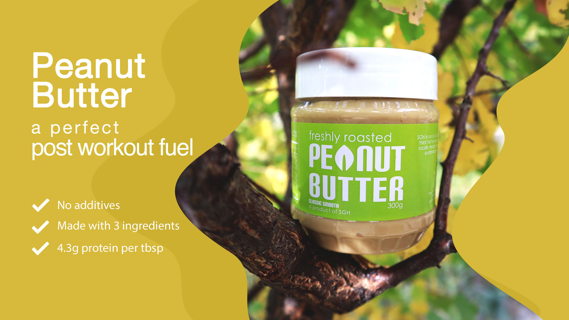 pb-website-banner-copy-w